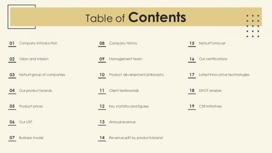 Netsurf Business Profile Table Of Contents Ppt Professional Sample PDF