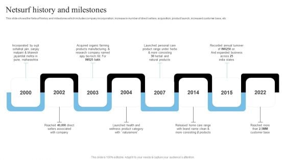 Network Marketing Company Profile Netsurf History And Milestones Structure PDF