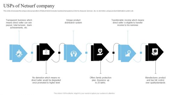 Network Marketing Company Profile Usps Of Netsurf Company Structure PDF