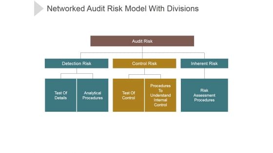 Networked Audit Risk Model With Divisions Ppt PowerPoint Presentation Professional