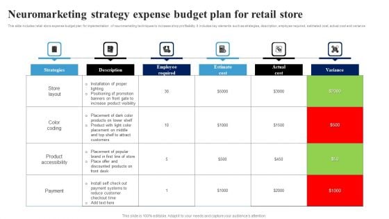 Neuromarketing Strategy Expense Budget Plan For Retail Store Ppt Ideas Background PDF