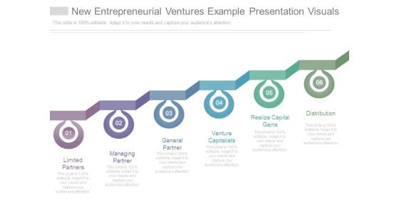 New Entrepreneurial Ventures Example Presentation Visuals