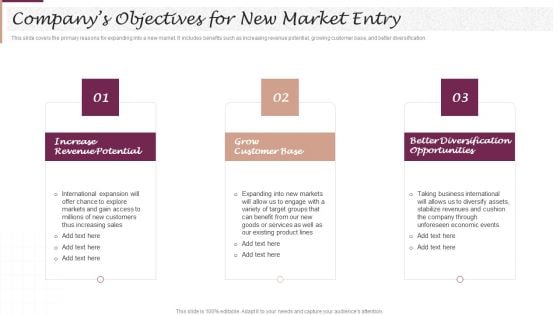 New Market Segment Entry Plan Companys Objectives For New Market Entry Rules PDF