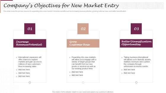 New Market Segment Entry Plan Companys Objectives For New Market Entry Rules PDF