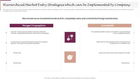 New Market Segment Entry Plan Hierarchical Market Entry Strategies Which Demonstration PDF