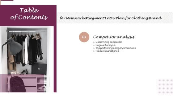 New Market Segment Entry Plan Table Of Contents Slide Graphics PDF