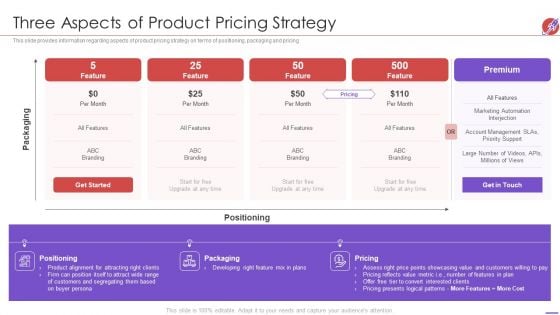 New Product Development And Launch To Market Three Aspects Of Product Pricing Strategy Sample PDF