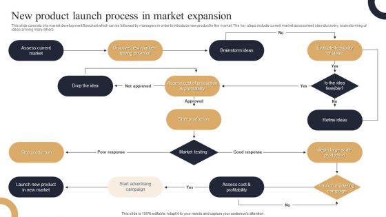 New Product Launch Process In Market Expansion Elements PDF