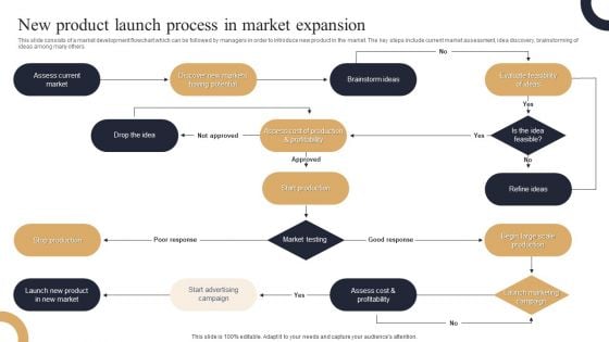 New Product Launch Process In Market Expansion Elements PDF New Product Launch Process In Market Expansion Elements PDF