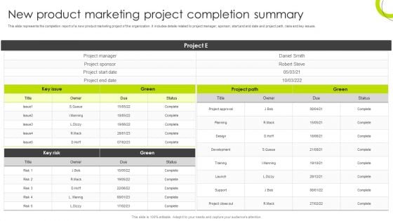 New Product Marketing Project Completion Summary Diagrams PDF