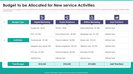 New Service Launch And Development Strategy To Gain Market Share Budget To Be Allocated For New Brochure PDF