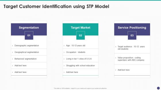 New Service Launch And Development Strategy To Gain Market Share Target Customer Identification Using STP Model Elements PDF