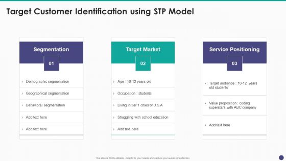 New Service Launch And Development Strategy To Gain Market Share Target Customer Identification Using STP Model Elements PDF