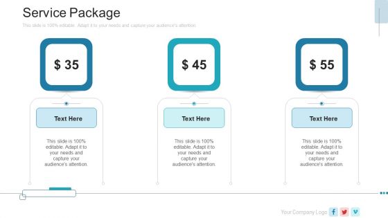 New Service Launch Plan Service Package Ppt Summary Example Introduction PDF New Service Launch Plan Service Package Ppt Summary Example Introduction PDF