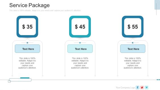 New Service Launch Plan Service Package Ppt Summary Example Introduction PDF