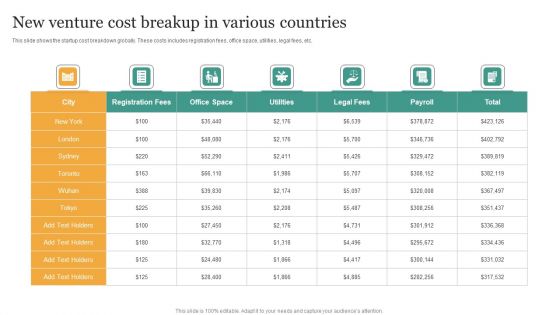 New Venture Cost Breakup In Various Countries Icons PDF