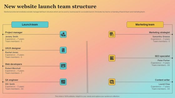 New Website Launch Strategy New Website Launch Team Structure Topics PDF