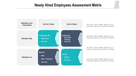 Newly Hired Employees Assessment Matrix Ppt PowerPoint Presentation Example PDF Newly Hired Employees Assessment Matrix Ppt PowerPoint Presentation Example PDF