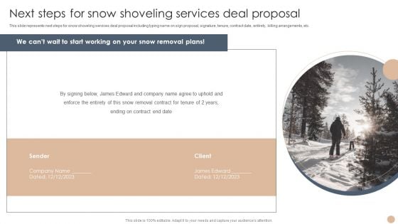 Next Steps For Snow Shoveling Services Deal Proposal Summary PDF