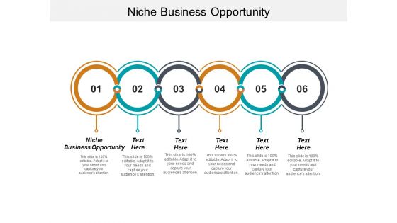 Niche Business Opportunity Ppt PowerPoint Presentation Outline Pictures Cpb