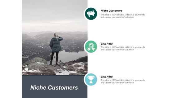 Niche Customers Ppt Powerpoint Presentation Ideas Templates Cpb