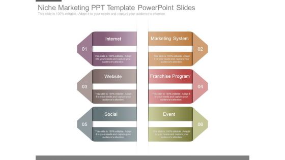 Niche Marketing Ppt Template Powerpoint Slides