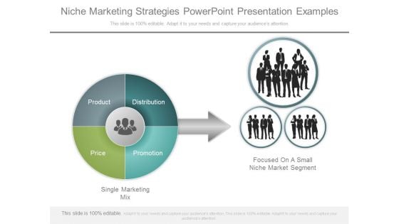 Niche Marketing Strategies Powerpoint Presentation Examples