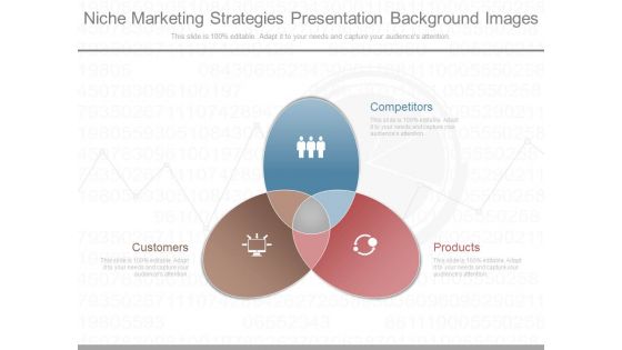 Niche Marketing Strategies Presentation Background Images