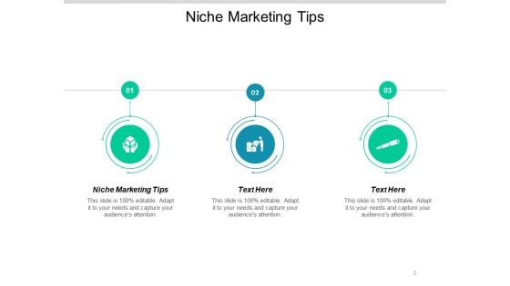 Niche Marketing Tips Ppt PowerPoint Presentation Portfolio Maker Cpb