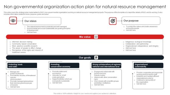 Non Governmental Organization Action Plan For Natural Resource Management Portrait PDF