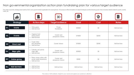 Non Governmental Organization Action Plan Fundraising Plan For Various Target Audience Icons PDF