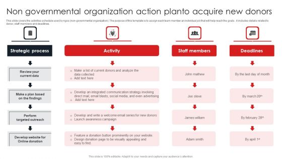 Non Governmental Organization Action Planto Acquire New Donors Summary PDF