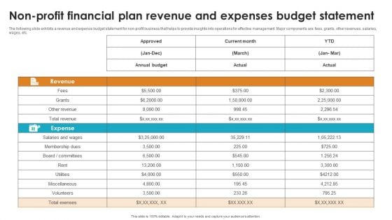 Non Profit Financial Plan Revenue And Expenses Budget Statement Topics PDF