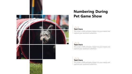 Numbering During Pet Game Show Ppt PowerPoint Presentation Gallery Slides PDF