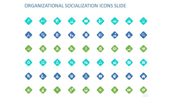 ORGANIZATIONAL SOCIALIZATION ICONS SLIDE Ppt PowerPoint Presentation Professional Infographics PDF