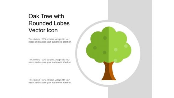 Oak Tree With Rounded Lobes Vector Icon Ppt PowerPoint Presentation Show Rules PDF