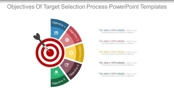 Objectives Of Target Selection Process Powerpoint Templates