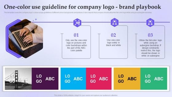 One Color Use Guideline For Company Logo Brand Playbook Professional PDF