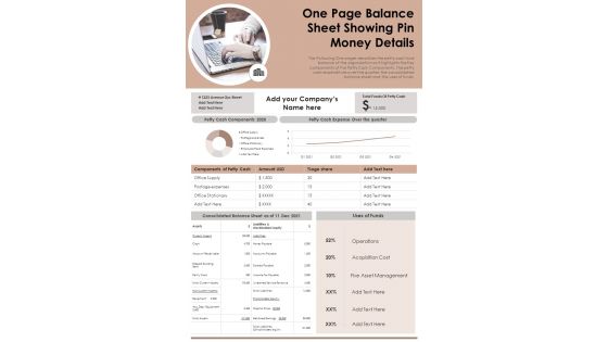One Page Balance Sheet Showing Pin Money Details PDF Document PPT Template
