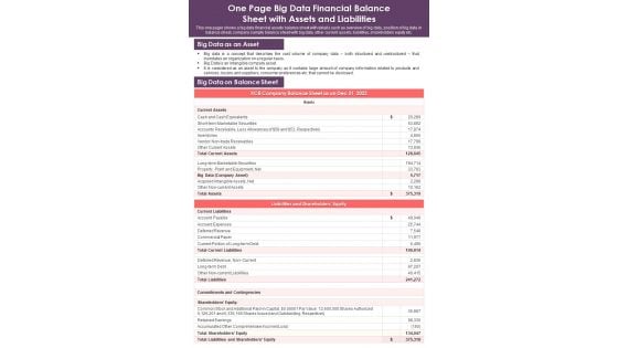 One Page Big Data Financial Balance Sheet With Assets And Liabilities PDF Document PPT Template