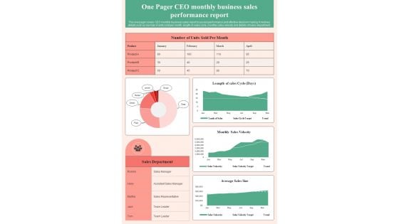One Page Chief Executive Officer Monthly Business Report PDF Document PPT Template