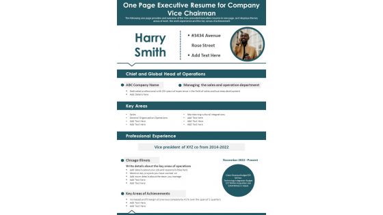 One Page Executive Resume For Company Vice Chairman PDF Document PPT Template