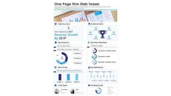 One Page Firm Stats Teaser PDF Document PPT Template