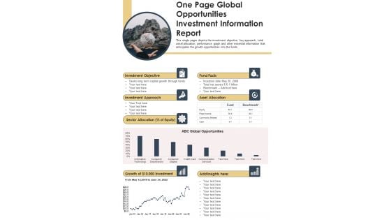 One Page Global Opportunities Investment Information Report PDF Document PPT Template