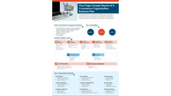 One Page Sample Report Of E Commerce Organization Business Plan PDF Document PPT Template