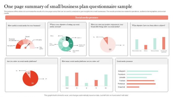 One Page Summary Of Small Business Plan Questionnaire Sample Survey SS