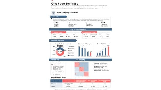 One Page Summary Template 216 One Pager Documents