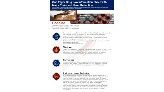 One Pager Drug Law Information Sheet With Major Risks And Harm Reduction PDF Document PPT Template