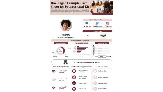 One Pager Example Fact Sheet For Promotional Kit PDF Document PPT Template