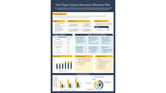 One Pager General Insurance Business Plan PDF Document PPT Template